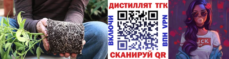 Дистиллят ТГК гашишное масло  Лодейное Поле 