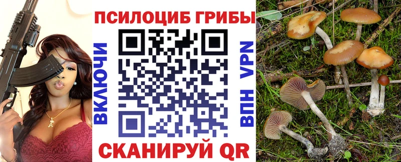 где продают   ОМГ ОМГ маркетплейс  Галлюциногенные грибы Magic Shrooms  Лодейное Поле 